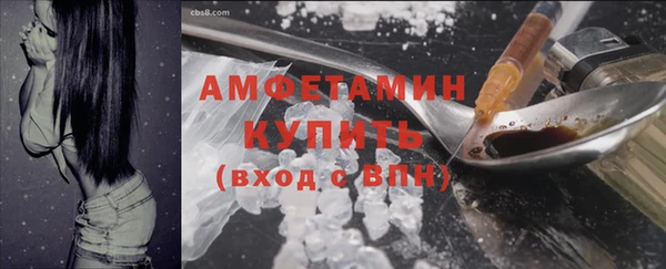 ГАЛЛЮЦИНОГЕННЫЕ ГРИБЫ Белокуриха