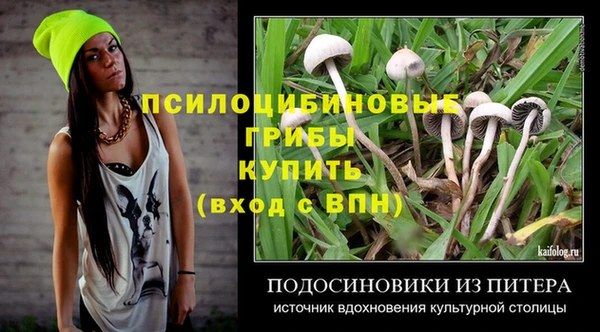 ГАЛЛЮЦИНОГЕННЫЕ ГРИБЫ Белокуриха