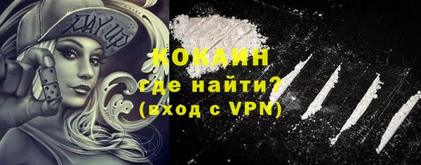 ГАЛЛЮЦИНОГЕННЫЕ ГРИБЫ Белокуриха