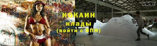 ГАЛЛЮЦИНОГЕННЫЕ ГРИБЫ Белокуриха